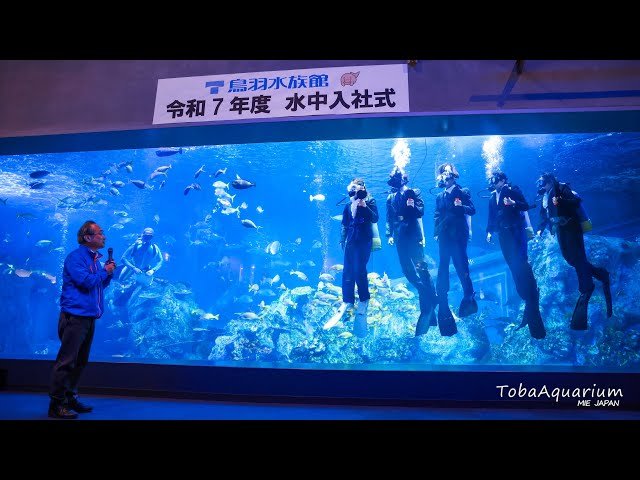 🐠 도바 수족관 이미지 9